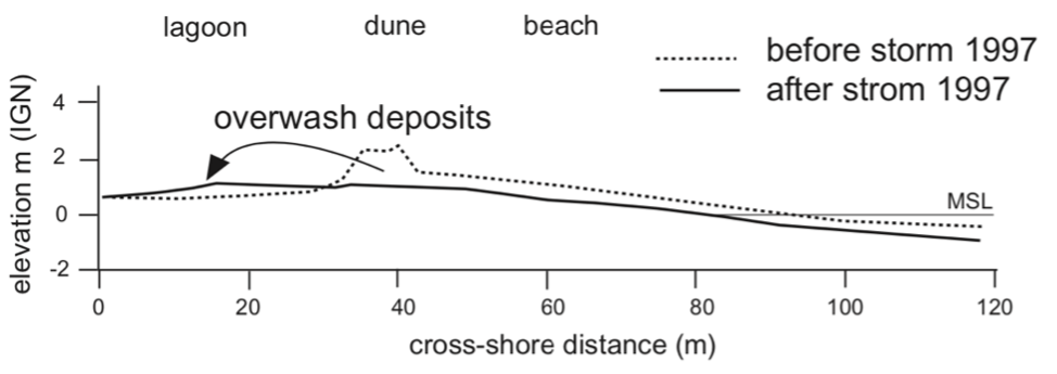 Fig 4a. Dépôts d'overwash en Camargue après la tempête centennale de décembre 1997 (Sabatier et al., 2005)