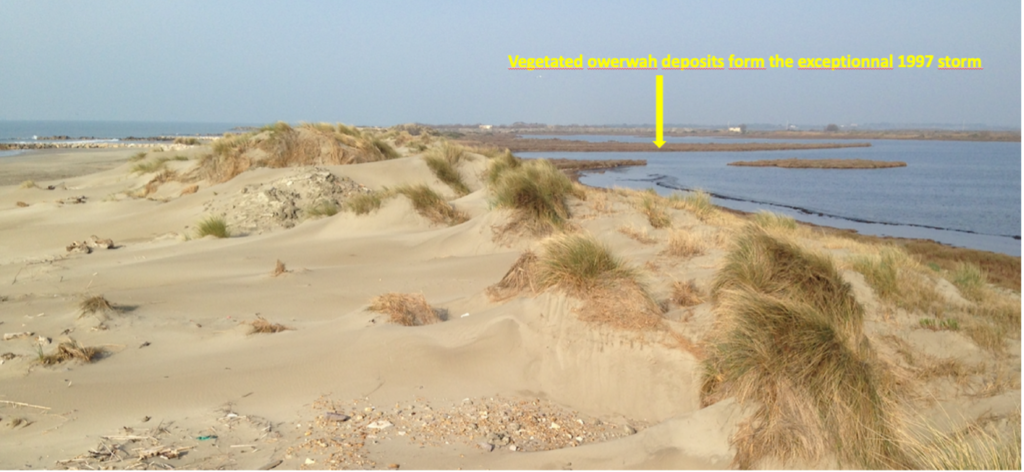 Fig 4b. Dépôts d'overwash en Camargue après la tempête centennale de décembre 1997 (Sabatier et al., 2005)