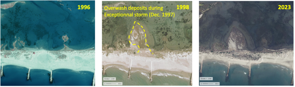 Fig 4b. Dépôts d'overwash en Camargue après la tempête centennale de décembre 1997 (Sabatier et al., 2005)